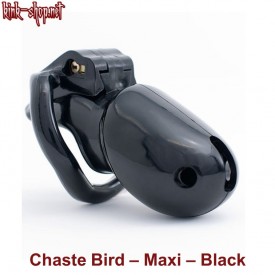 Black Chaste Bird Maxi cockcage including 4 backrings.
