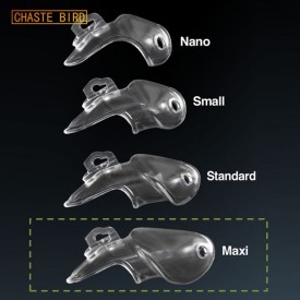 Transparent Chaste Bird Maxi cockcage including 4 backrings.