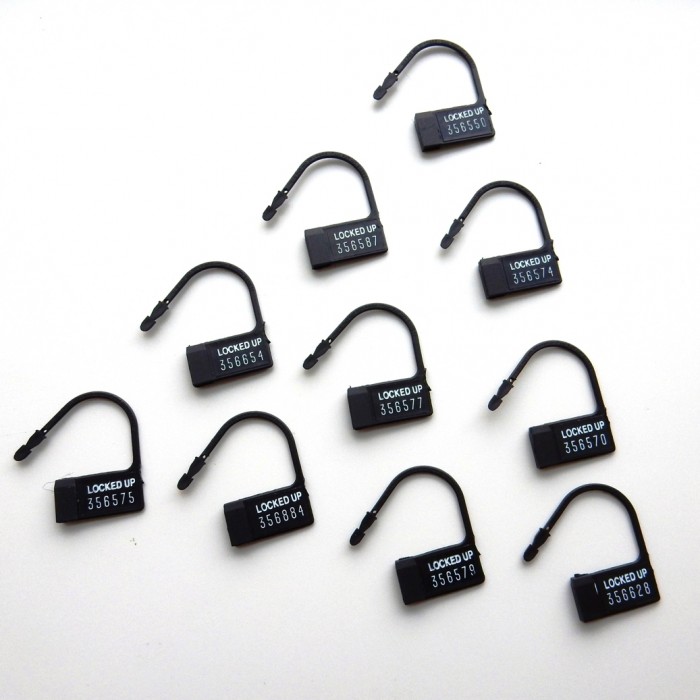 Tamper proof plastic locks