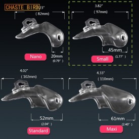 Chaste Bird Small including 4 backrings.