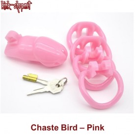 Chaste Bird Small including 4 backrings.