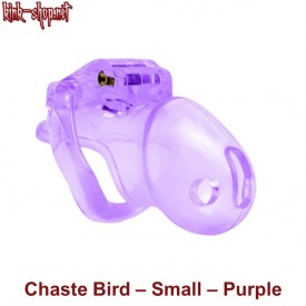 Purple Chaste Bird Small including 4 backrings.